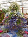 RHS Chelsea Flower Show 2017. The world`s most prestigious flower show displaying the best in garden design. Royalty Free Stock Photo